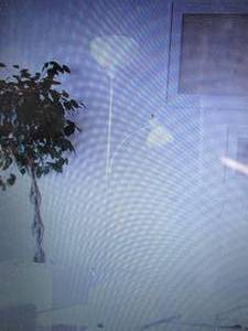 Simple Designs Floor Lamp with Read...