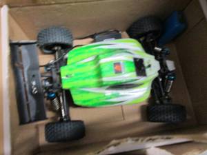 CIS 118 Scale Radio-Controlled Bug...