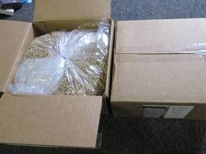 lot 266 image: 12 pounds of sunflower seeds packag...