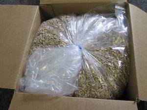 lot 273 image: 6 pounds of sunflower seeds package...