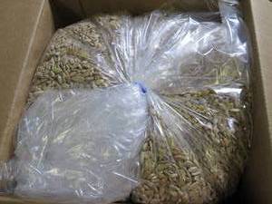 lot 274 image: 6 pounds of sunflower seeds package...
