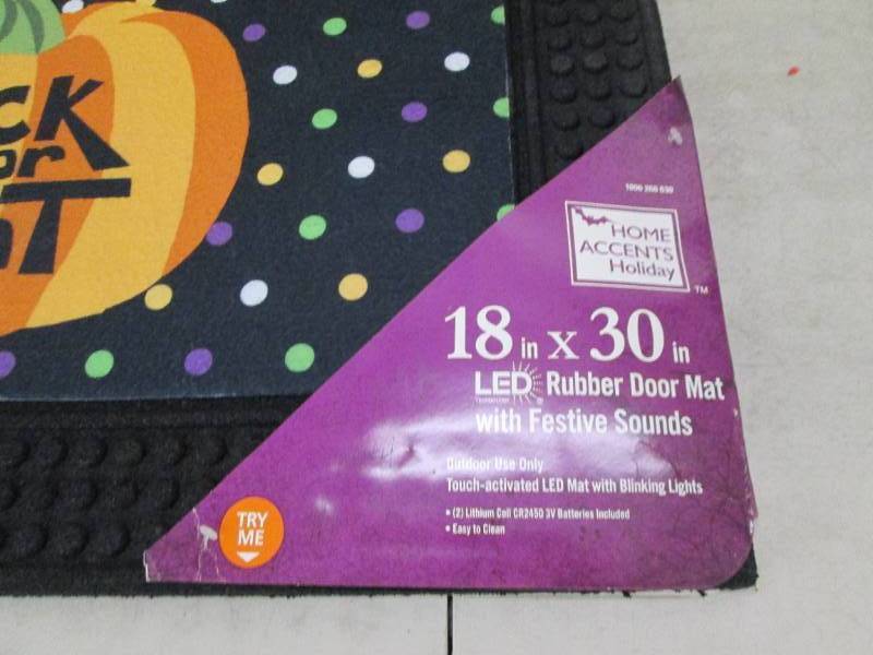 lot 62 image: home accents 18 inch x 30 inch LED ...