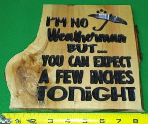 lot 147 image: A few inches tonight, Plaque.