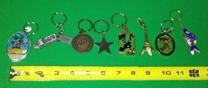 lot 189 image: 8 key chains, CAT, Fish, International, MSU.