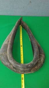 lot 260 image: Horse Collar