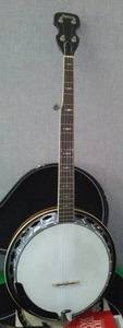 lot 295 image: 5 string Banjo by Stetson