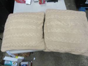 2 Throw Pillows...