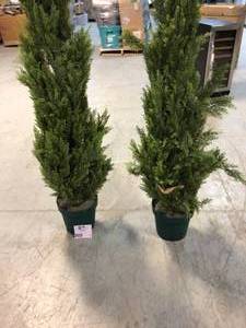 lot 22 image: Lot of 2 plants Customer Returns See Pictures