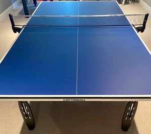 lot 53 image: Cornilleou DSI Compact Technology 250 Indoor Ping Pong Table