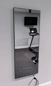 lot 59 image: The Mirror Home Gym