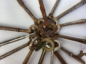 lot 224 image: Vintage Skeleton Key Bundle of 14