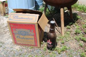 lot 133 image: Lot of (1 Case) Budweiser King Beer Pitchers 15 Glass Bottles 6-count with Box
