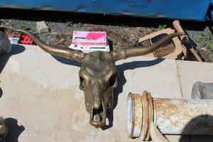 lot 23 image: Bull Skull