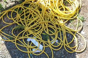 lot 240 image: Lot of (2) Heavy Duty Extension Cords