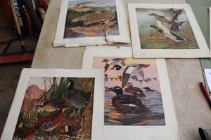 lot 313 image: Lot of (15) DuPont Birds Prints