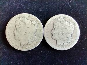 Morgan Dollar 2 Coin Lot