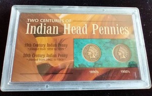 2 Indian Head Pennies In Case