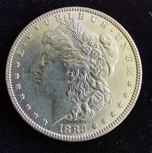 1882 Morgan Dollar