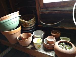 lot 53 image: Pots & Planters