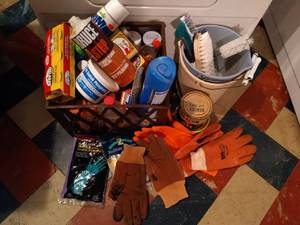 lot 123 image: Misc Home Cleaners