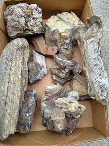 lot 134 image: Box of Petrified Wood Rocks