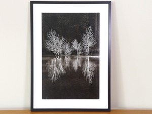 lot 15 image: Framed Joseph Donovan Black and White Photo Merced River