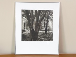 lot 21 image: Framed Lynn Geesaman Photo St. Francisville, Louisiana 1983