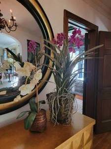 lot 40 image: Faux Orchid Dcor Plants