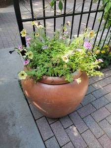 lot 62 image: 22x25 inch Terracotta A