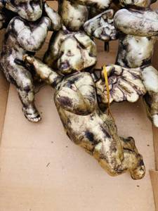lot 22 image: Group of Rustic Golden Angels