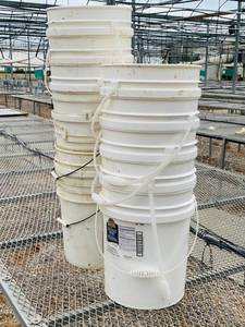 lot 51 image: 5 Gallon Buckets and Large Bin