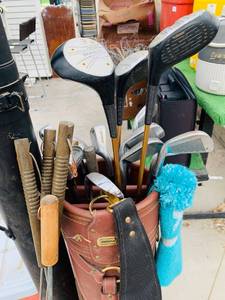 lot 64 image: Sporty Bunch