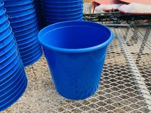 lot 84 image: More than 200 Bright Blue Buckets