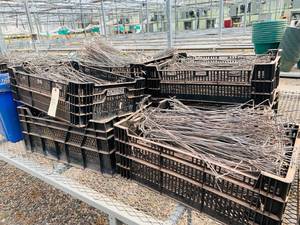 lot 85 image: Wire Basket Hangers and Chains
