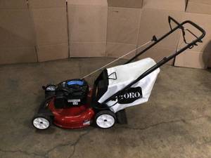 Toro Recycler 21 in. Briggs and Stratton Low Wheel RWD Gas Walk Behind Self Propelled Lawn Mower with Bagger - Review all pictures