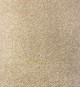 12 x 26 Roll (312 Sq Ft) Engineered Floors Cameo Tweed 26 Tenderfoot Carpet Remnant