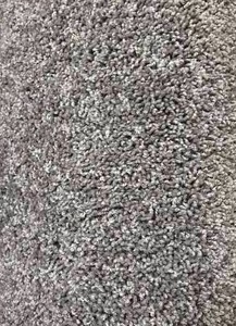 12 x 116 Roll (138 Sq Ft) Shaw Glee Tradewind Carpet Remnant