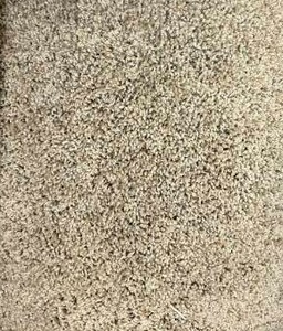 12 x 86 Roll (102 Sq Ft) Shaw Spice It Up Market Square Carpet Remnant