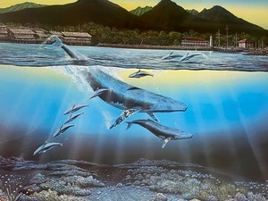 lot 303 image: Framed Print Day Break by Robert Lyn Nelson