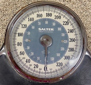 lot 307 image: Salter Professional Scale