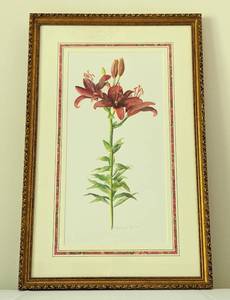 lot 69 image: Framed Lily Watercolor by Louise C. Gillis