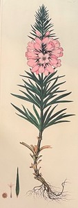 lot 168 image: Botanical 1 Numbered Framed Print by Dan Mitra