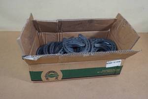 lot 71 image: Diamond Classic Plain Horse Shoes - Size 00