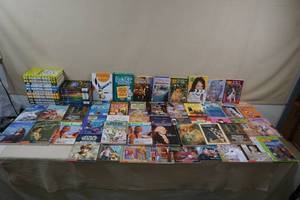 lot 249 image: Assorted Books - Wimpy, Dork Diaries, Historical