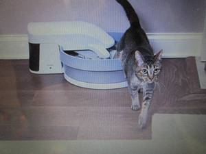 lot 9 image: PetSafe Simply Clean Automatic Litt...