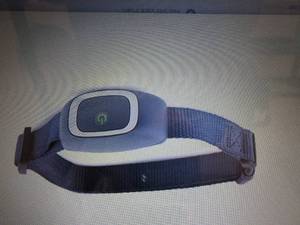 lot 267 image: PetSafe Static Bark Collar open box...