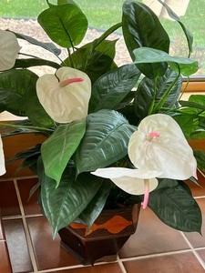 Faux Fern on Plant Stand and Faux Lily Plant