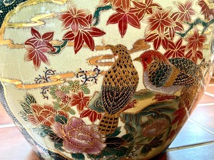 Beautiful Planter with Plant