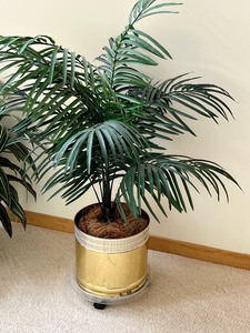 Two Faux Decorative Plants