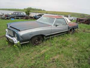 1977 Monte Carlo